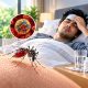 ডেঙ্গু জ্বর হলে কী করবেন? করণীয় ও বর্জনীয়